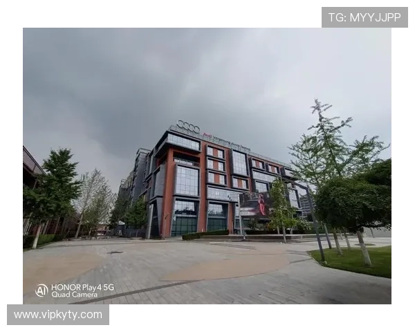 获取KY体育官网地址的最佳途径，确保每次登录都能顺利畅玩游戏体验